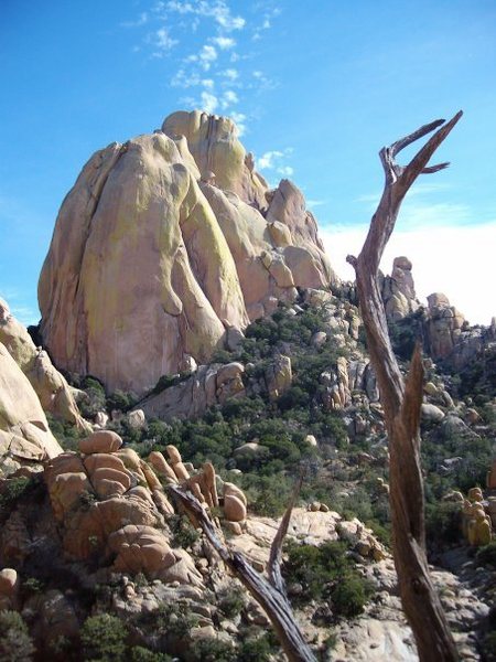 Near Cochise Dome at Cochise Stronghold