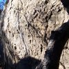 The Ant Traverse, V4-5. Back side of Ant Boulder...Jason's Favorite is the chalked crack splitting the center of the boulder. Traverse starts at the base of the crack and moves left along good positive edges with cruxy feet.