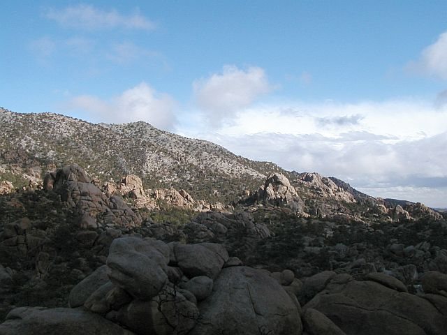 Caruthers Canyon, Mojave National Preserve 