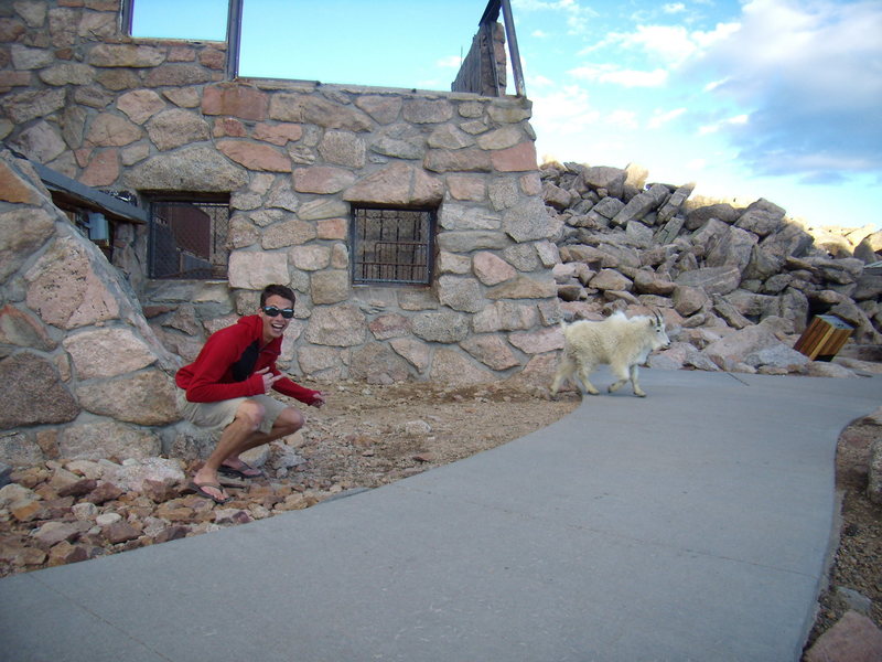 Jordon has some real issues with lovable goats for some reason.  July 2010.  Mt. Evans.