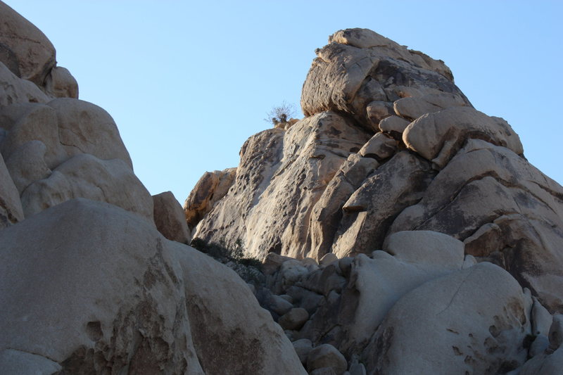 Indian Palisades Corridor, Joshua Tree NP 