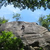 Lee on the lead of Junco