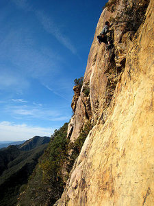 Dave series 5: on easier terrain