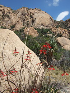 Hiking out , late afternoon view looking back. Photo taken by Joe Lee