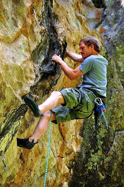 Clinging to the cool, black tufa-like rail on the upper section. June 2010.