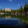 Mammoth Mountain from Lake Barrett