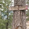 Old and weathered trail sign, Castle Rock