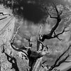 West Face of Devils Tower through the fisheye lens.