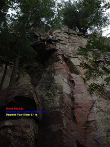 Degrade Your Sister Direct & Degrade Your Sister