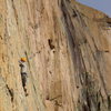 Climber on Yellow Wall.  Saturday August 7th 2010