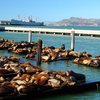 Pier 39, SF.