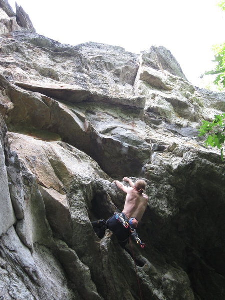 Double knee bar rest.