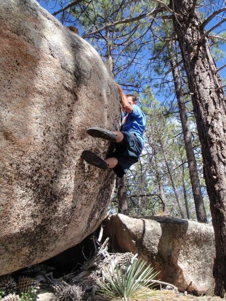 Horse Flats,California<br>
<br>
Gnome Problem