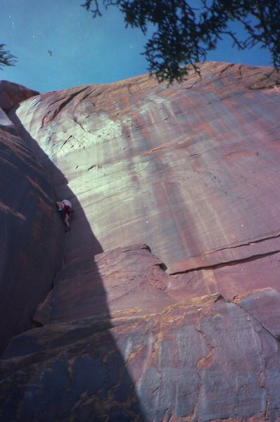 Jesse McAfee on Bunny Slope.