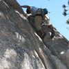 Albert on Easy Crack 5.8