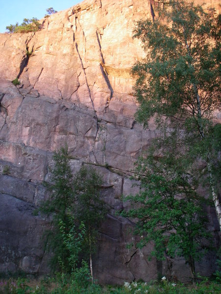 The route starts on the flakes, visible on the face between the trees, then traverses left on the ledge, then goes up the corner (the left and longer of the two visible in this photo) to the top.