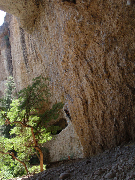 M&M touching the tree, nearing the end of the crux.