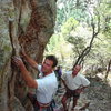 Kent Bruner and Steve Johnson back when the crag was being developed in 1999.<br>
Cres down the hill.