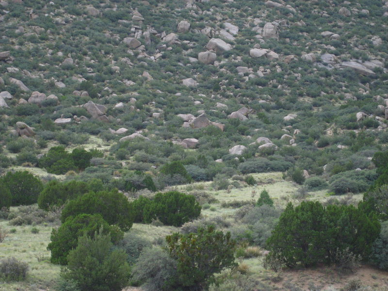 View from the Trailside Boulders just in front of the Highball V4, looking west. Head toward the triangular boulder in the middle of the photo, Screaming Jihad is about the corner