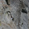 Agina on the last short pitch to the top of Poof on the Magician. 8-21-10