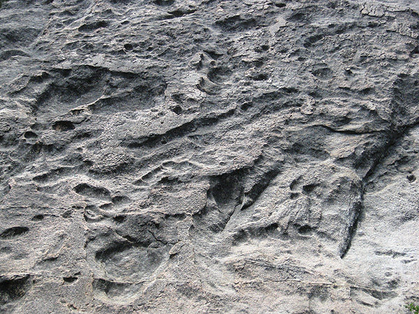 Fresno Dome rock detail.<br>
Photo by Blitzo.