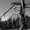 Fresno Dome from the trail.<br>
Photo by Blitzo.