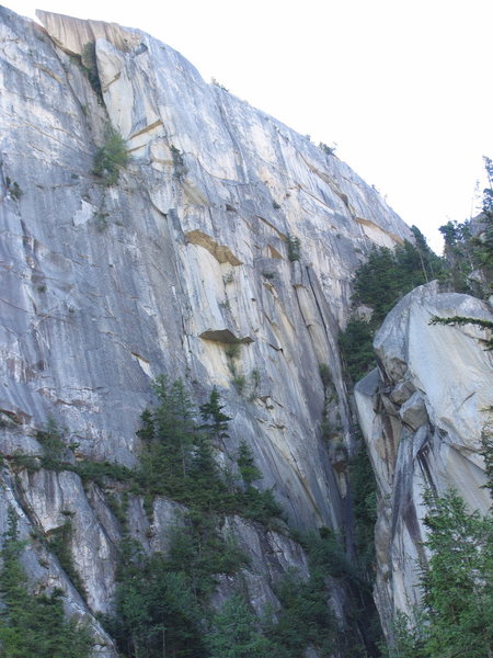 Looking up South Gulley from the Buttress trail.