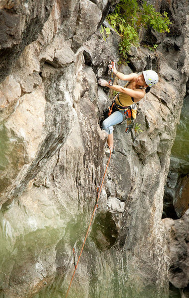 Orange Crush :: 5.9<br>
Photo by Peter Hoang