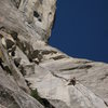 First pitch of Salathe Wall.  Sick BIRD!  Great climbing!