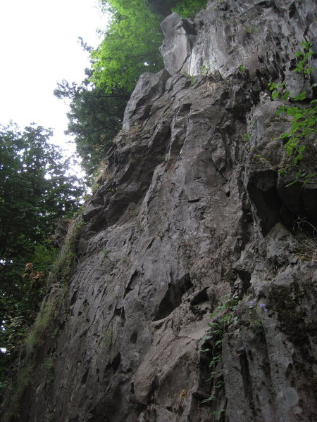 Finishes at a 2-bolt anchor at the top right of the overhanging section of rock.