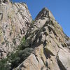 Looking up at the West Ridge from the second saddle described in the Ingraham guide ("You attain a saddle from which you can slip into the narrow gully which mounts between the W Ridges of the Wedge and Lost Peak").  When you get to this saddle, it's obvious that you're in the right place.  Photo was actually taken after scrambling onto the rocks just west of the tiny saddle.  The two "great parallel grooves" which mark the start of P1 are clearly visible.