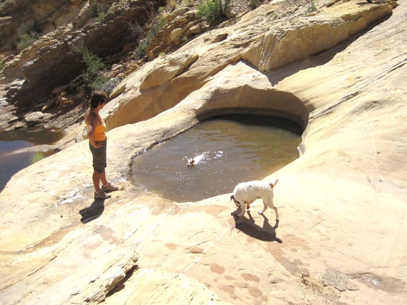 Cool Pools at the entrance To Three Fingers Canyon