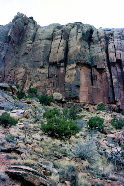 Fringe of Life wall. Stupid Crack is the obvious wide crack to V slot in the middle. The climb Fringe of Life is further right towards Cactus Flower. Robert Warren did a couple of routes as well in these parts. The descent for all these climbs is the same. 