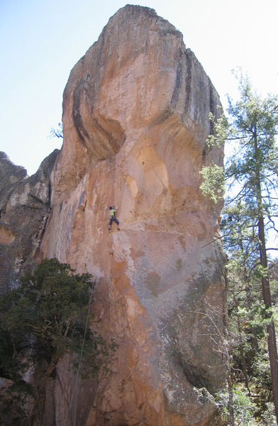 Peter Baumeister bolting Basa Gold, Basaseachic