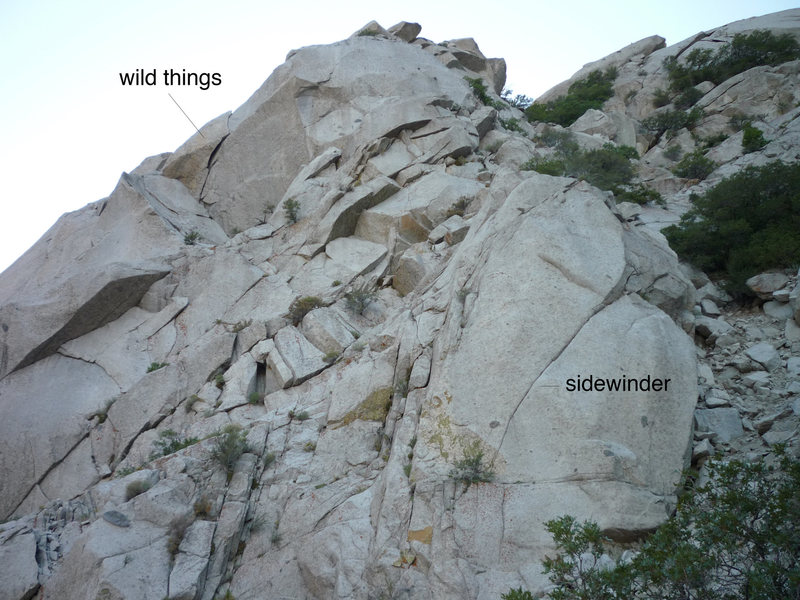 wild things, and sidewinder