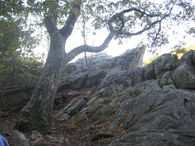 The Overlook at Raven Rock