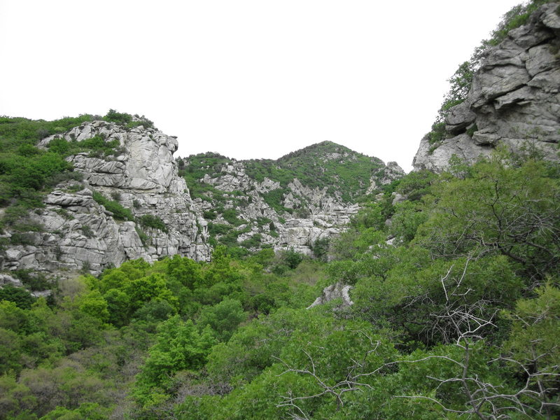 Crazy rock and thick trees