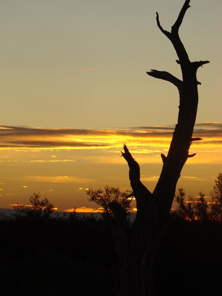 Jack's Canyon AZ