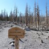 Trailhead sign for McLeod Lake, Mammoth Lakes Area