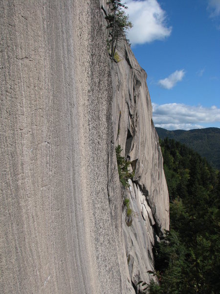 Section of the Main Wall at Green's Cliff