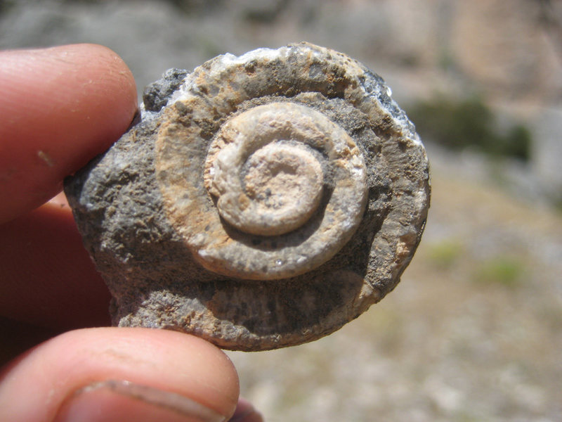 There are fossils everywhere on the mountain, so be sure to keep an eye out!