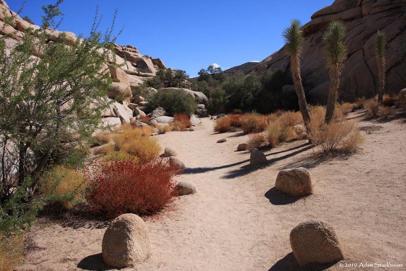 Barker Dam interp trail