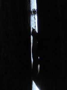 Clipping on Stuck Knee.