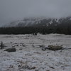 Some of the higher trees were frosty with snow.