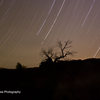 Star Trails of Indian Creek, UT<br>
<br>
More Photos by Nick Pease Photography at<br>
http://www.facebook.com/pages/Boulder-CO/Nick-Pease-Photography/136265733077843?ref=sgm