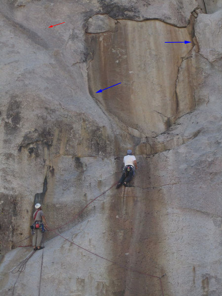 Note the heaps of bird droppings which cover the 2nd pitches as far up as the blue arrows indicate. From the pic it might not seem so bad, but honestly, I love birds, but this was disgusting! It prevented us from finishing via My Laundry.<br>
Red arrow: 1st bolt of the 2nd pitch of Solid Gold to be clipped after the bit scary move onto the left ascending friction.