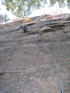 P1 of Morning After.  From where the climber is head a little further left to the right-facing flakes and up right to the multi-forked tree.