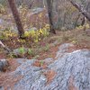 This rock at top was everywhere for my hands and feet during the climb. The climb is much not seen. That rock corner is far down.