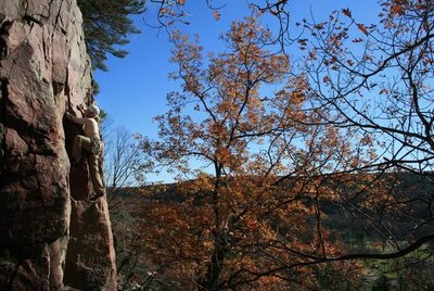 Kelly F. leads New Box. Photo by Jeff Lin