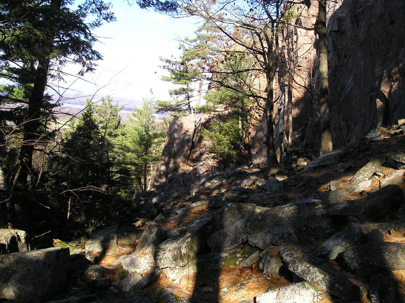 Looking down the cliff past "Main Wall" most routes are past the trees. Free standing rock column which marks the  border with "Bobs Wall" is seen at "bottom" of pic